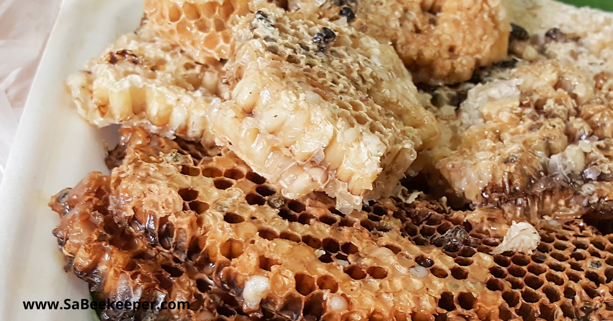 honey comb cells with larvae and royal jelly
