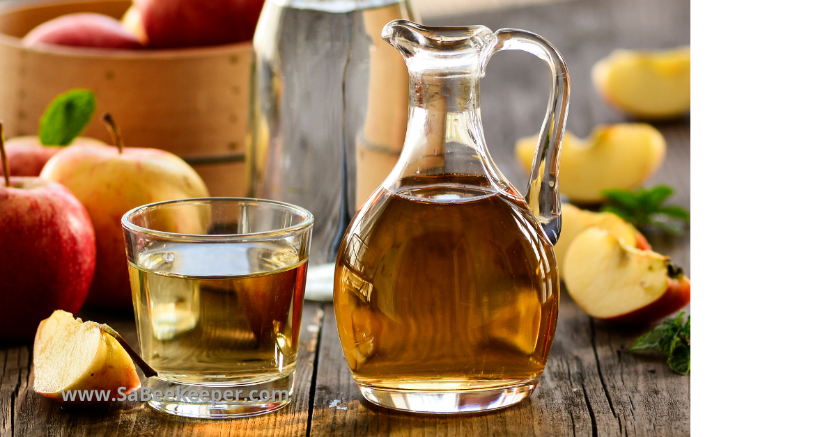 Honey apple cider vinegar drink tonic